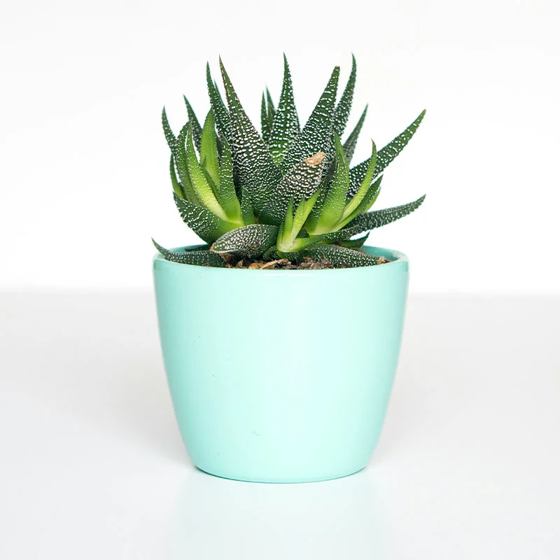 product-10